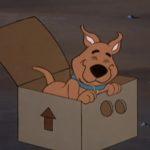Scrappy