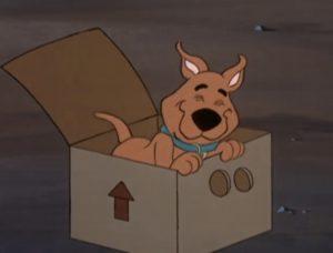 Scrappy