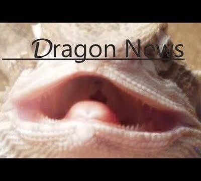 World of Warcraft 9.1.5 – Changing the Times and names! Gaming news